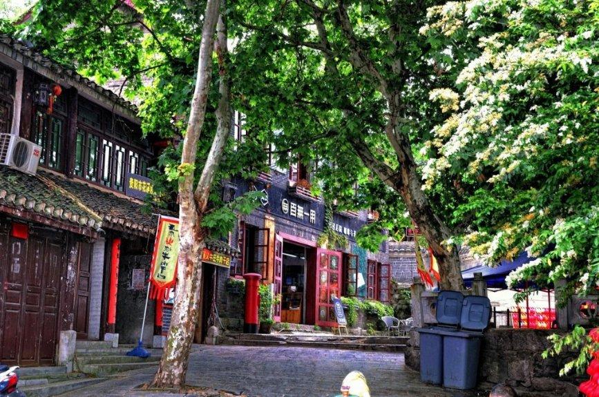 药明康德：密切关注草案立法程序进展，业务发展不会对任何国...